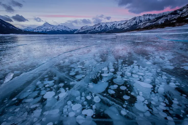 Winter Masterpiece From Frozen Bubbles At Abraham Lake 3