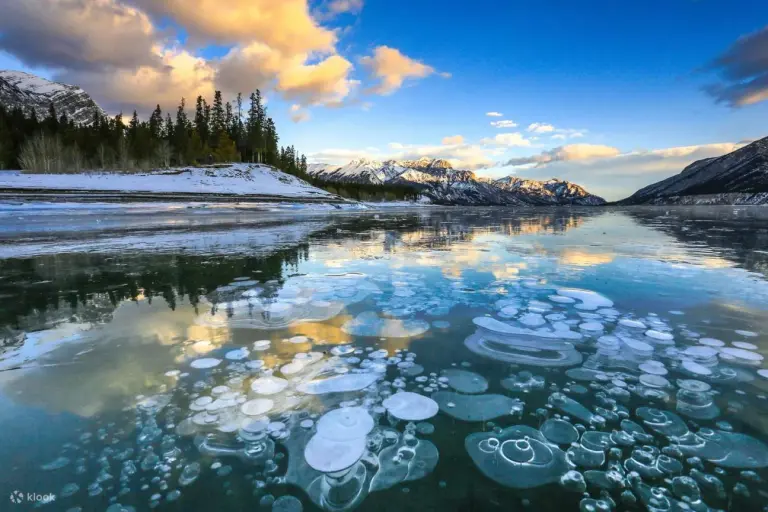 Winter Masterpiece From Frozen Bubbles At Abraham Lake