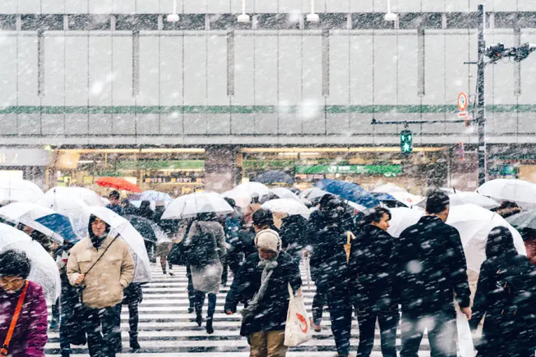 Tokyo’s Enchanting Winter Romance Beneath The Snow 11