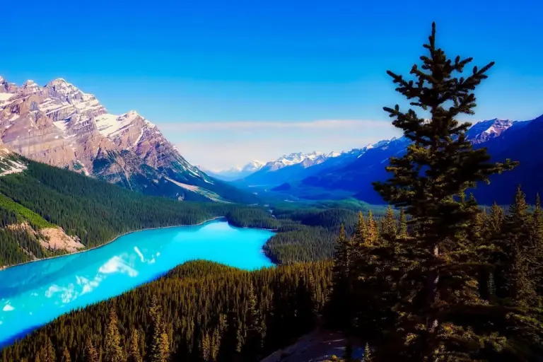 Peyto, Western Canada