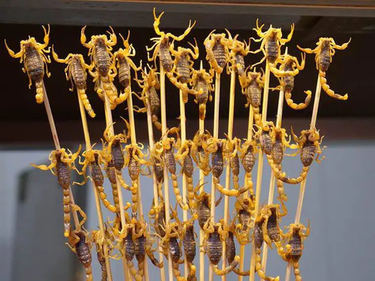 China’s Most Bizarre Dishes That Challenge Even The Bravest Foodies 2