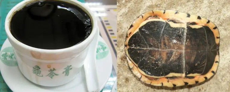 China’s Most Bizarre Dishes That Challenge Even The Bravest Foodies 4