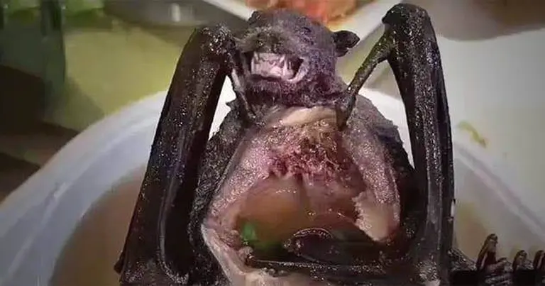 China’s Most Bizarre Dishes That Challenge Even The Bravest Foodies 7