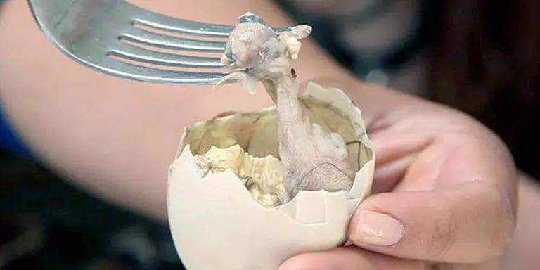 China’s Most Bizarre Dishes That Challenge Even The Bravest Foodies 8