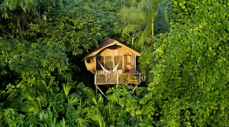 Discovering The Top Sustainable Eco Lodges In The Amazon Rainforest 2