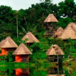 Discovering The Top Sustainable Eco Lodges In The Amazon Rainforest