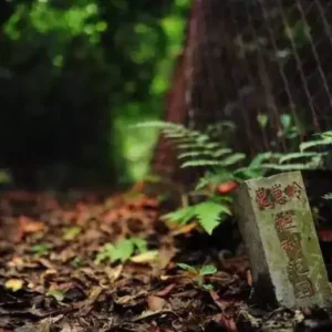 The Mystery Behind 800-year-old Stone Statues That Once Terrified A Chinese Village