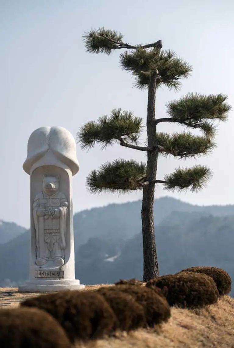 Women Flock To Korea’s Quirky “penis Park” For Bold Check-ins 8