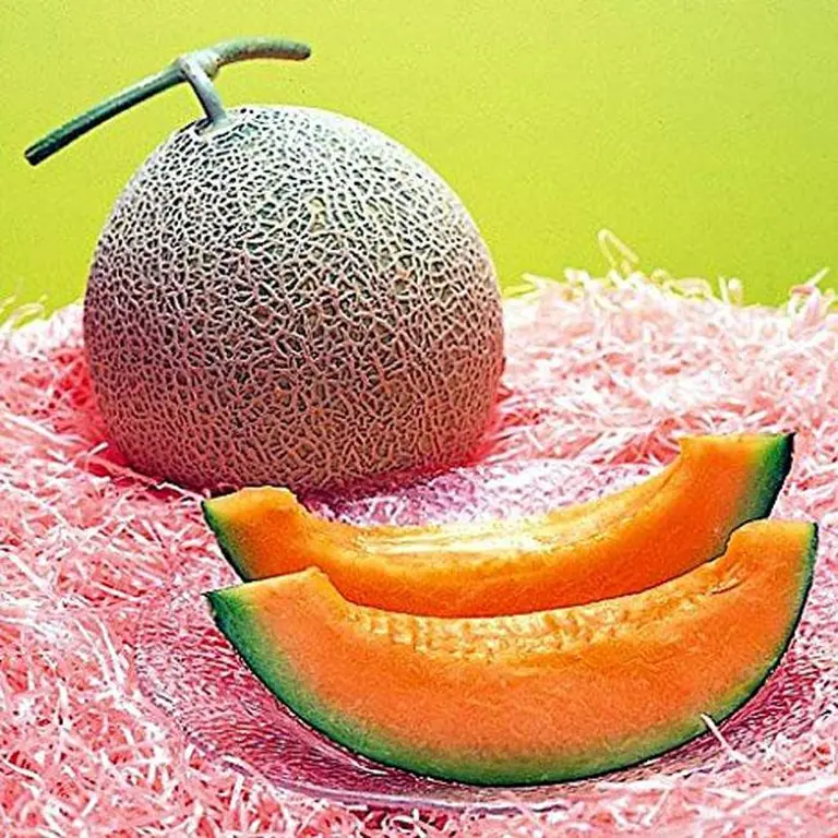 11 Strange Things You'll Only Find In Japan That Amaze Tourists 2