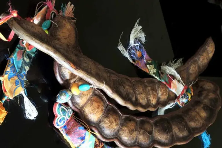6 Most Famous Traditional Musical Instruments Of Bhutan 6