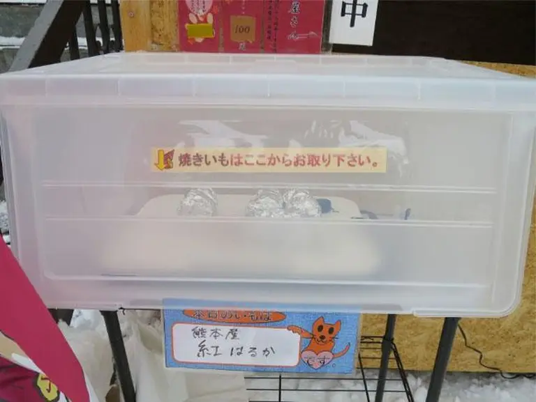 A Strange Sight In Japan 4