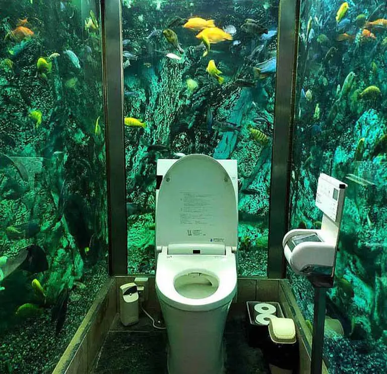 Japanese Café Gains Fame For Installing An Ocean Around Its Restroom 1