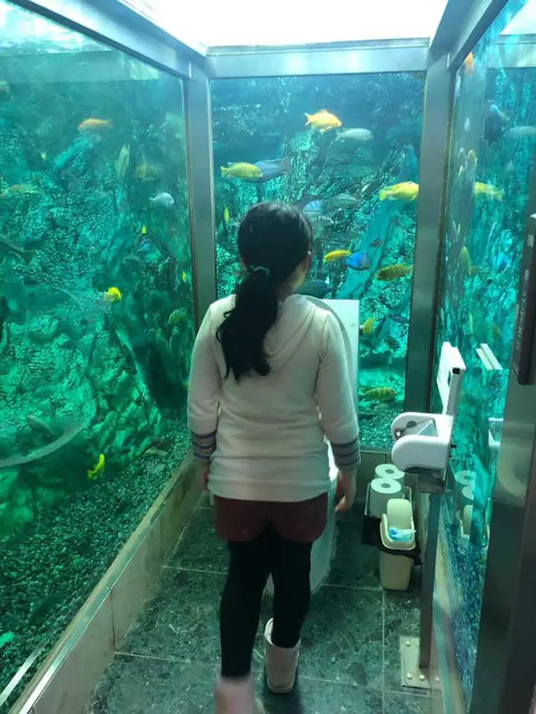 Japanese Café Gains Fame For Installing An Ocean Around Its Restroom 2
