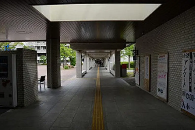 Only In Japan Can Travelers Encounter Such Unique Experiences 5