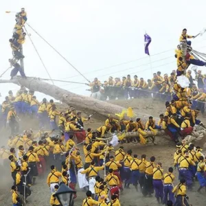 Thousands Of Young Men Risk Their Lives Riding Giant Logs Down The Mountain In Japan’s Most Unique Festival