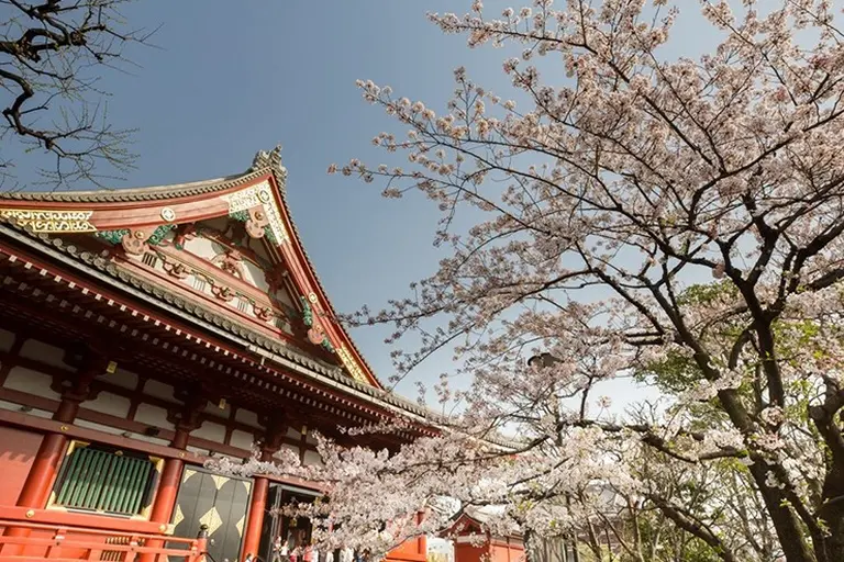When Is The Best Time To Visit Japan 1