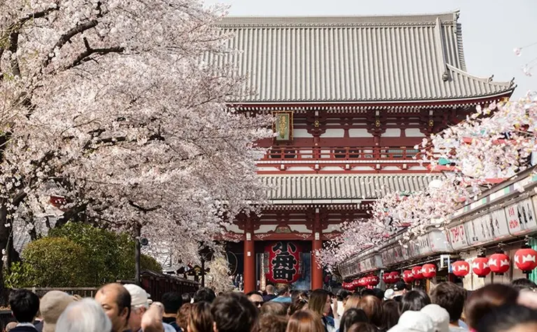 When Is The Best Time To Visit Japan 2