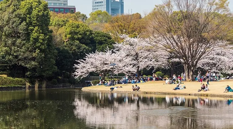 When Is The Best Time To Visit Japan 3