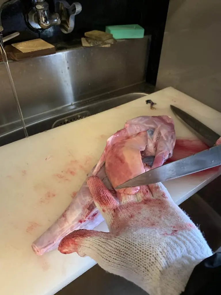 The Ugly Yet Deadly Fish That Costs Nearly $350 For A Tiny Piece 1