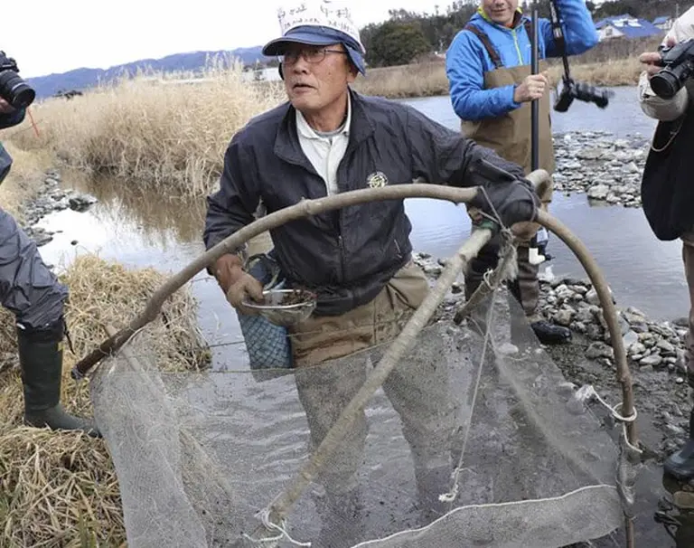A Traditional Japanese Delicacy That Leaves Tourists “shivering” 3