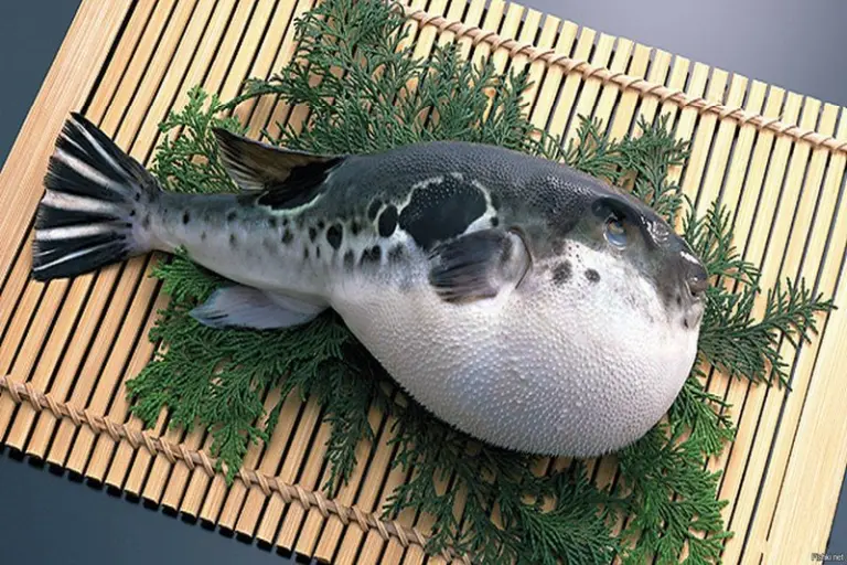 The Luxury Fish Worth Nearly $3,000 Per Kilo