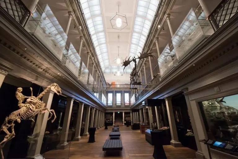 13 Must-visit Zttractions In Sydney, Australia 11