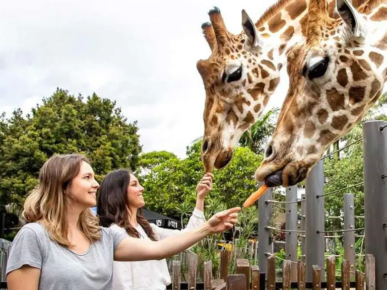 13 Must-visit Zttractions In Sydney, Australia 3