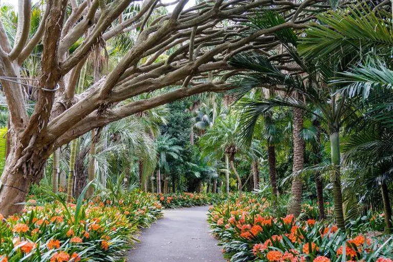 13 Must-visit Zttractions In Sydney, Australia 4