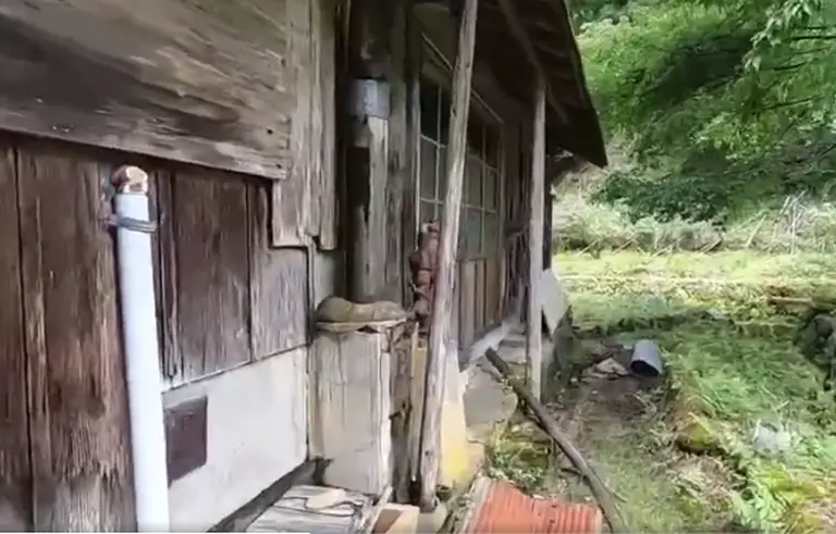 Nagatani Village, Japan 6