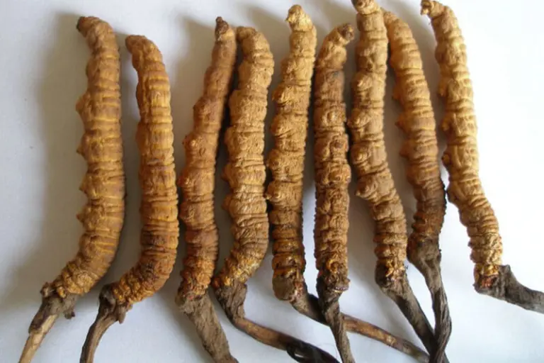 Bhutan Souvenirs 1