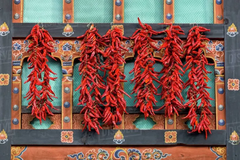 Bhutan Souvenirs 4