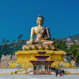 Discover The Buddha Dordenma Statue