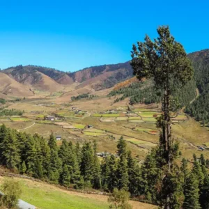 Phobjikha Valley