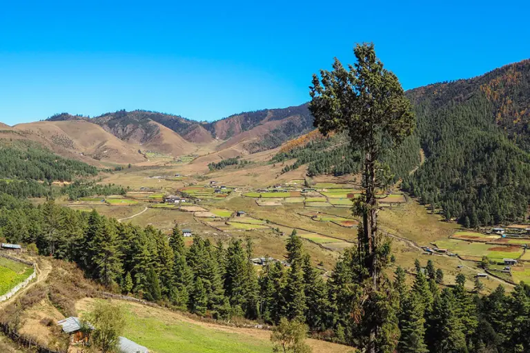 Phobjikha Valley