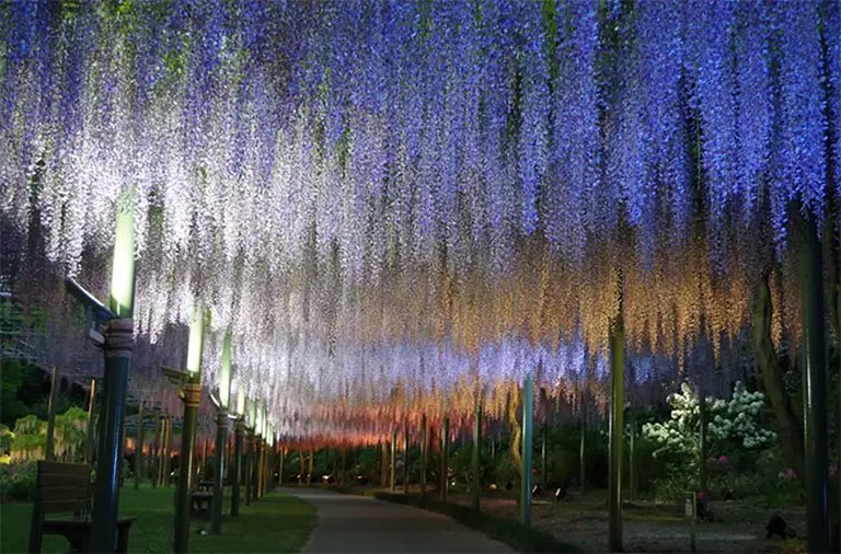 7 Hidden Paradises In Japan You Shouldn’t Miss 6