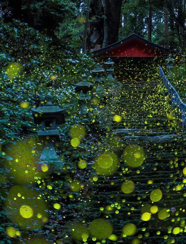 Enchanting Real-life Places That Inspired Famous Animated Films 1-1