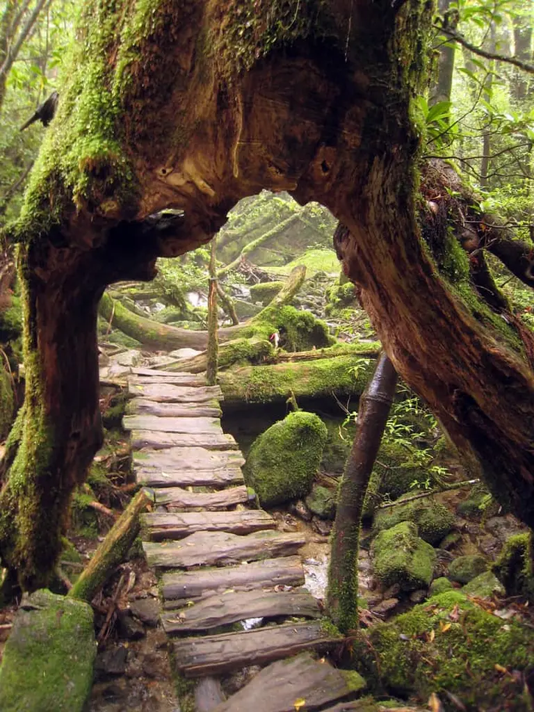Enchanting Real-life Places That Inspired Famous Animated Films 5-1