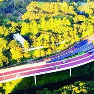 Fukushima’s Revival After The Double Disaster