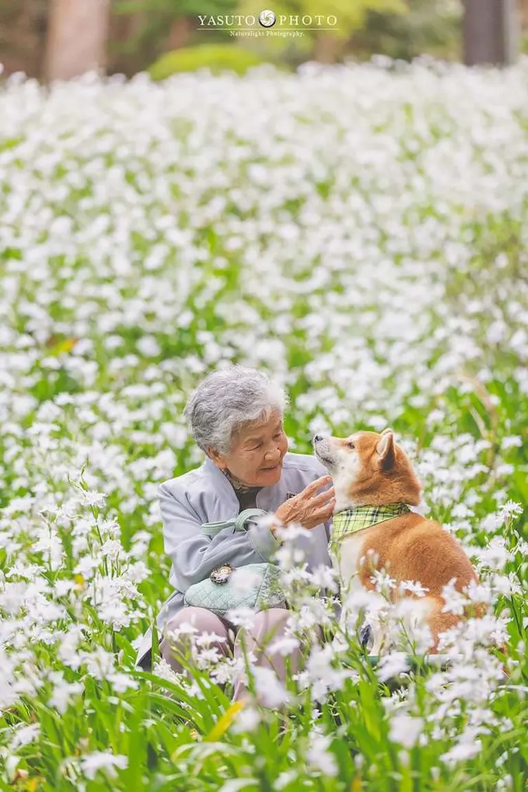 Heartwarming Photo Series 10