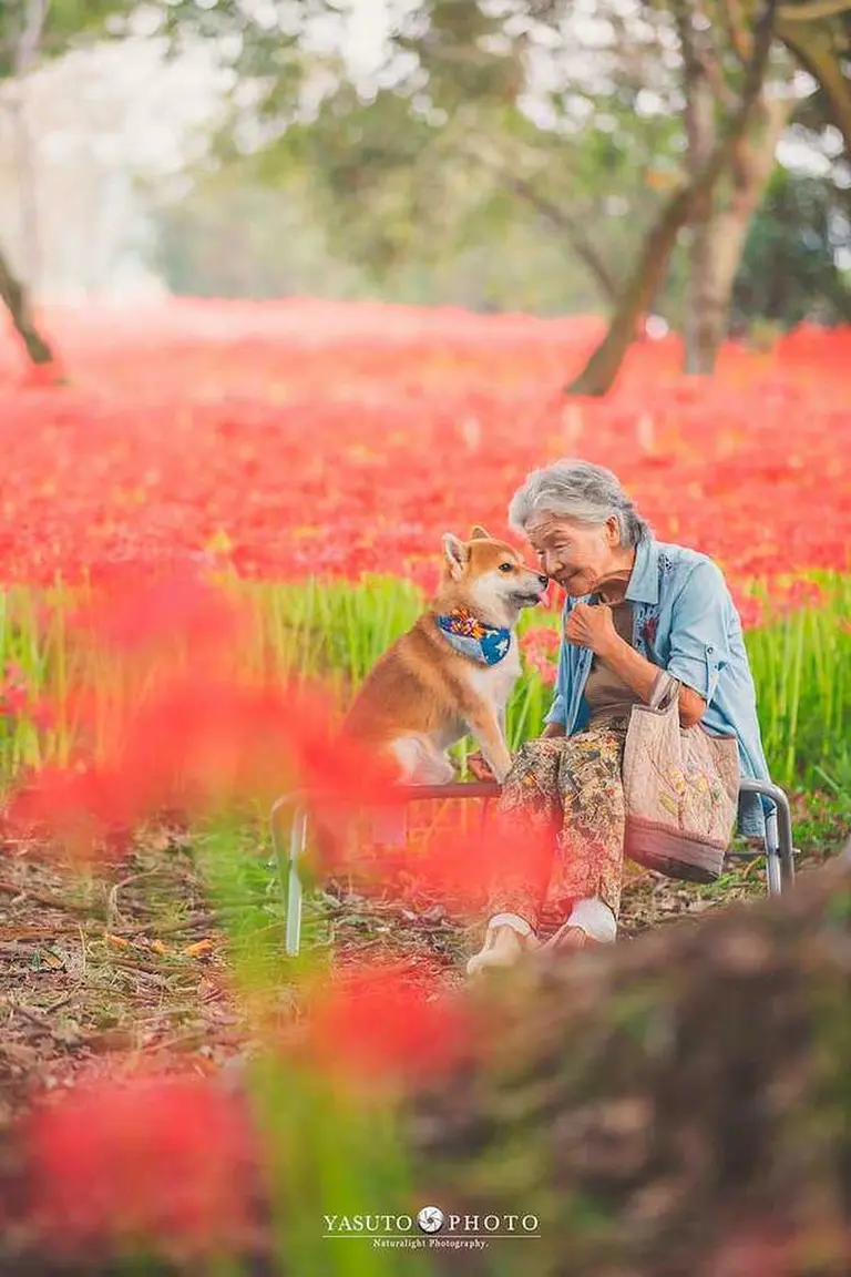 Heartwarming Photo Series 11