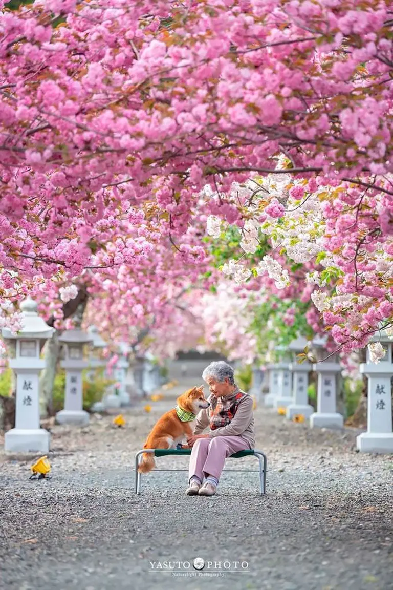Heartwarming Photo Series 12