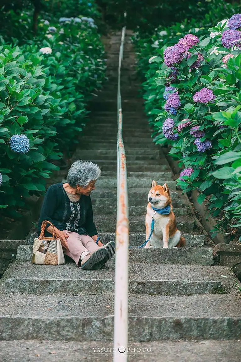 Heartwarming Photo Series 2
