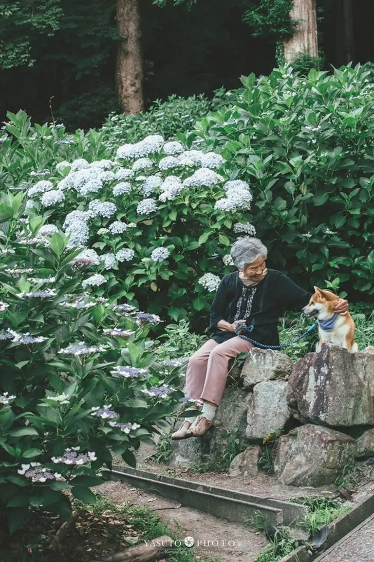 Heartwarming Photo Series 3