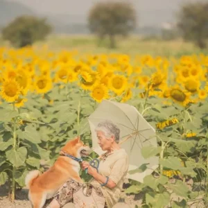 Heartwarming Photo Series