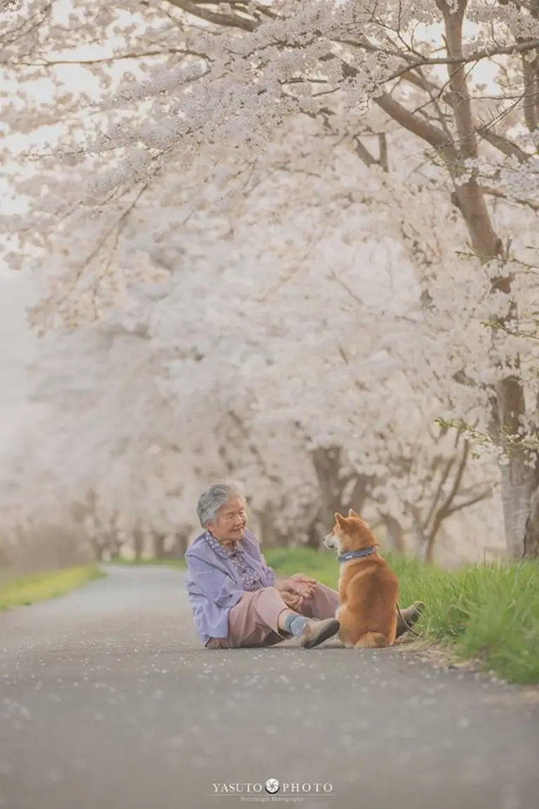 Heartwarming Photo Series 4