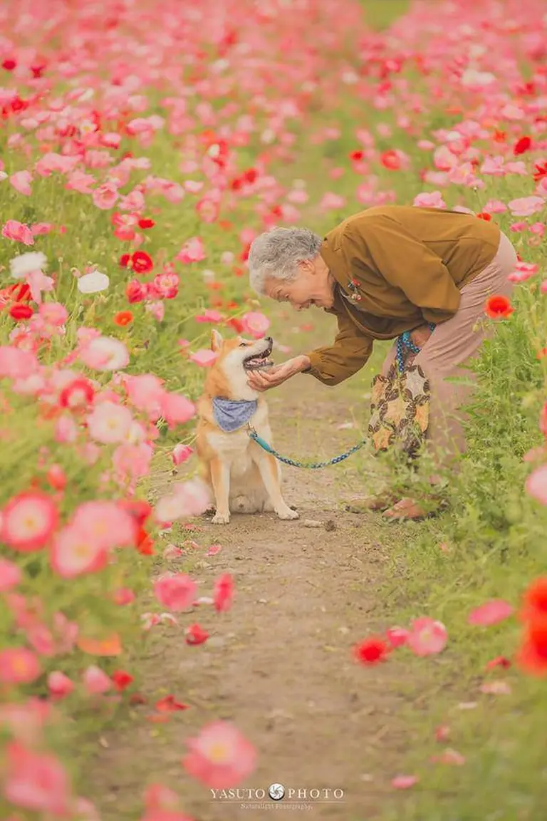 Heartwarming Photo Series 5