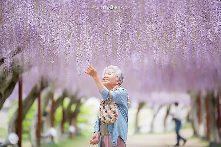 Heartwarming Photo Series 7