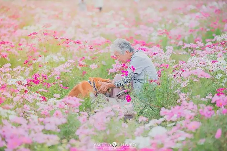 Heartwarming Photo Series 8