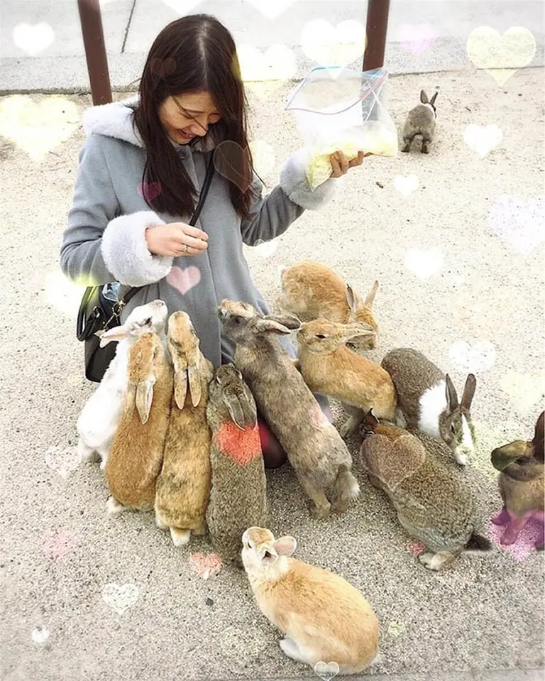 Immersed In Cuteness 1