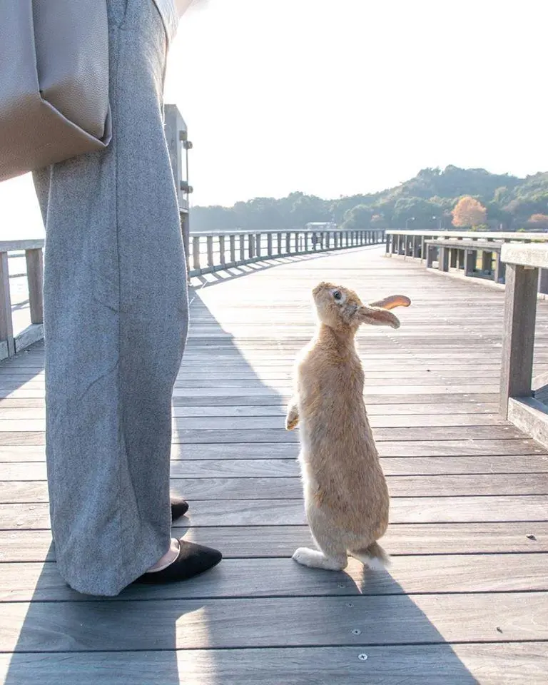 Immersed In Cuteness 5